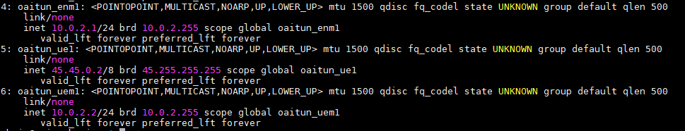 GNS3 network: OpenAirInterface