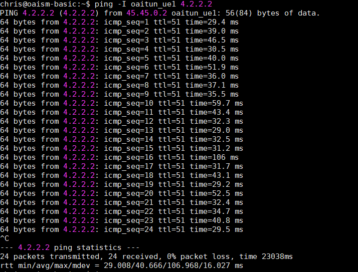 PING Tests From UE To The Internet Via PGW